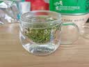 富光花茶杯透明茶杯内胆茶水分离杯办公室玻璃杯子水杯350ml 实拍图