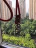 科沃【加粗升级三合一】手机挂绳挂脖斜挎手腕挂件欧洲防盗神器挂链饰女防丢摔可拆卸新本命年马年红色 实拍图