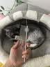 HELLOJOY宠物猫咪狗狗排梳猫梳子宠物去浮毛开结钢梳布偶长毛猫专用猫毛梳 实拍图