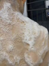 维特丝沐浴露男女士持久留香72小时香体控油滋润保湿补水乳液金榜第1名 实拍图