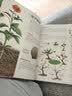 中国儿童植物百科全书 精装正版 小学生植物图鉴大全 6-12岁花草树木科普 少儿自然观察启蒙课外书  实拍图