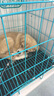 麦富迪狗粮 无谷牛肉双拼狗粮成犬 小型犬中大型犬通用10kg/20斤 实拍图