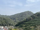 大宝SOD蜜清爽保湿凝露100ml擦脸油补水保湿乳液面霜男女士护肤品 实拍图