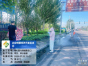 十月稻田 东北黑木耳 500g 干木耳 黑龙江东宁特产 肉厚无根 火锅煲汤炒菜 实拍图