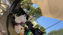 北极狼（BeiJiLang）帐篷户外加大天幕二合一户外野营露营帐篷全自动速开露营装备 实拍图