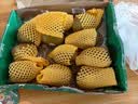 佳沛（zespri）新西兰 金果12粒特大果单果124-146g 端午节礼物水果礼盒 猕猴桃 实拍图