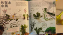 DK儿童图解百科全书植物家族 精装正版 植物世界大全 小学生科普书籍 6-12岁花草树木图鉴 自然观察入门 实拍图