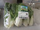 有机奶白菜 250g 实拍图