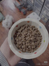 华元宠具超大容量宠物自动喂食器狗狗饮水机狗盆猫碗喂水猫咪投食器套装 实拍图