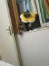 华元宠具（hoopet）狗狗伊丽莎白圈项圈小型犬宠物猫咪颈圈脖圈头套猫伊利沙白圈头罩 实拍图