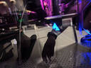 蓝戟（GUNNIR）intel Arc A380 Photon  6G  2450MHz GDDR6 OC 游戏显卡设计视频剪辑台式电脑显卡 实拍图