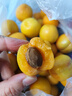 妙洁一次性饭盒 50只【430ml和470ml新老随机发货介意者慎拍】打包盒 实拍图