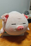 名创优品（MINISO）小猪B-BO弹力超柔趴姿公仔毛绒玩具玩偶抱枕靠枕生日61儿童节礼物 实拍图