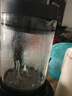 苏泊尔（SUPOR）破壁机 1.75L大容量家用多功能可预约辅食料理机 加热免滤全自动豆浆机 破冰碎冰榨汁机SP503A 实拍图