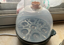 九阳（Joyoung）煮蛋器多功能智能蒸蛋器一键启动 7个蛋量 ZD7-GE130 实拍图