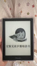 掌阅（iReader）【新品发布】Neo3 6英寸电子书 智能阅读器 墨水屏电纸书 看书学习漫画AI平板电脑 轻薄便携 沉墨 实拍图