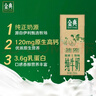 伊利金典纯牛奶 250ml*12盒 3.6g乳蛋白原生高钙 礼盒装 实拍图