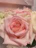 京东鲜花玫瑰花随机颜色20枝(1-2种颜色)40cm基地鲜切花生活花束源头直发 实拍图
