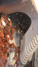 阔庭（KUOTING）过滤款乌龟缸生态缸宠物饲养箱透明水陆爬宠两用黑色【特大号】 实拍图