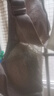 浪莎内衣女无钢圈聚拢大胸显小文胸聚拢收副乳防下垂送老婆蕾丝胸罩 豆沙紫 80C 【CD通杯】 实拍图