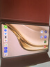 HUAWEI MatePad Mini 典藏版 柔光屏 支持教育优惠 华为平板电脑SIM卡版 可通话 16+1TB 寰宇红 含手写笔 实拍图