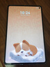 HUAWEI MatePad Mini 悦读版 支持教育优惠 华为平板电脑OLED屏SIM卡版可通话移动办公 12+256GB 曜石黑 实拍图