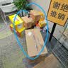 浪莎短丝袜女20双春夏女袜超薄耐磨女士水晶丝透明短袜袜子 肤色20双 实拍图