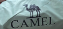 骆驼（CAMEL）【山房】帐篷户外天幕便携式折叠自动防风公园露营野外野营装备 无门杆 涂银防晒 珠光白 7681 实拍图