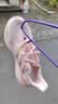 阿迪达斯（adidas）女 跑步系列 ULTRABOOST 5 W 跑步鞋 ID8845 粉色  36.5 实拍图