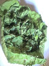 沃绣 蚕宝宝当天发货 活蚕宝宝蚕卵小蚕彩色蚕新鲜桑叶学生养蚕套装 1龄小蚕10条+小盒+桑叶 实拍图