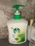 滴露（Dettol）洗手液抑菌消毒 滋润450g*2+松木450g*2儿童家庭补充装温和 实拍图
