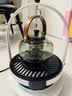 GLASSLOCK盖朗仿真碳火悬壶煮茶围炉煮茶套装露营烧水煮茶全玻璃0胶水养生花茶壶恒温中秋节日员工礼品礼物 实拍图