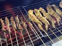 原始人烧烤架户外烧烤炉家用庭院烤肉架木炭便携碳烤炉子烧烤工具全套 10斤碳-免安装折叠款【304网-烤羊腿-续航大全套】 实拍图
