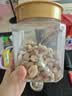林安 每日坚果炒货450g罐装开心果巴旦木仁榛子仁原味腰果休闲零食品 实拍图