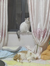 BOTH 烘焙猫粮 幼猫成猫全阶段 鸭肉梨泪痕管理 猫粮试吃200g 实拍图