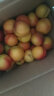 城南堡花 山东蒙阴油桃 黄肉桃子 新鲜水果脆甜 油桃精品果2.5kg 实拍图