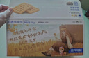 三只松鼠奶香味华夫饼1000g/箱 营养早餐下午茶面包西式糕点零食端午节 实拍图