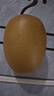 佳沛（zespri）新西兰金果10粒巨大果单果146-175g 端午节礼物水果礼盒 猕猴桃 实拍图