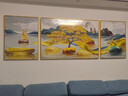 Sixpoetry 客厅装饰画现代简约沙发背景墙壁画轻奢三联晶瓷画大气高档挂画 福禄纳财（铝合金外框） 晶瓷画左右60*80+中间120*80亮面 实拍图