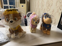 汪汪队立大功（PAW PATROL）毛绒玩具狗狗陪睡玩偶经典款天天站姿公仔男女孩儿童生日礼物 实拍图