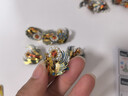拼酷（piececool）玻璃灯罩 点翠凤冠专用 3D金属拼图发光玻璃防尘罩情人节礼物 实拍图
