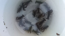 玉兰油（OLAY）高机能水150mlProX保湿焕白亮白细致毛孔护肤品七夕情人节礼物女 实拍图