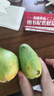 京喜加海南鲜芒果小台水果芒果新鲜上市 带箱5斤 中大果【70-90g】净重4.5斤 实拍图