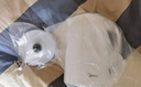 美的（Midea）电热水壶养生母婴级316L内胆双层无缝一体烧水壶1.7L大容量自动智能断电 SH17M301PRO【价保618】 实拍图