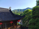 贡苑黄芪麦冬五味子茶288g共12付爱出汗多止汗养生茶包气虚中药材脉饮 实拍图
