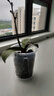花沃里控根花盆带托盘 防烂根透气蝴蝶兰花盆栽种菜多肉塑料盆14口径3个 实拍图