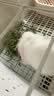 25年兔草苜蓿草干草兔子粮食龙猫荷兰猪豚鼠饲料高纤维兔粮 紫花苜蓿草1KG箱装(毛重) 实拍图
