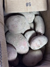 【真便宜】云南红皮土豆高原黄心土豆马铃薯红皮黄心洋芋减脂蔬菜 净重9斤大果 【单果150g+】 实拍图
