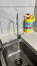 道尔顿（Doulton）净水器家用直饮 厨房自来水龙头过滤器矽藻陶瓷饮水机超滤净水机无废水厨下式 D-IP301 实拍图
