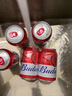百威红罐啤酒淡色拉格330ml*24听整箱装京东自营端午送礼 实拍图